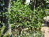  ( - CS07)  @11 [ ] Unspecified (default): All Rights Reserved  Unspecified Unspecified