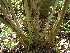  ( - CS07)  @11 [ ] Unspecified (default): All Rights Reserved  Unspecified Unspecified