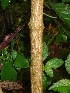  ( - CS10)  @12 [ ] Unspecified (default): All Rights Reserved  Unspecified Unspecified