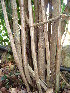  ( - CS14)  @11 [ ] Unspecified (default): All Rights Reserved  Unspecified Unspecified