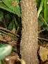  ( - CS22)  @11 [ ] Unspecified (default): All Rights Reserved  Unspecified Unspecified