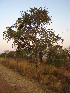  ( - CS33)  @11 [ ] Unspecified (default): All Rights Reserved  Unspecified Unspecified