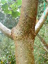  ( - CS34)  @11 [ ] Unspecified (default): All Rights Reserved  Unspecified Unspecified