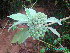  ( - CS34)  @11 [ ] Unspecified (default): All Rights Reserved  Unspecified Unspecified
