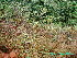 ( - CS34)  @11 [ ] Unspecified (default): All Rights Reserved  Unspecified Unspecified