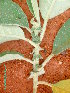  ( - CS34)  @11 [ ] Unspecified (default): All Rights Reserved  Unspecified Unspecified