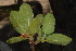  ( - OM0972)  @11 [ ] Unspecified (default): All Rights Reserved  Unspecified Unspecified