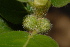  ( - OM0972)  @11 [ ] Unspecified (default): All Rights Reserved  Unspecified Unspecified
