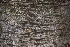  ( - OM1818)  @11 [ ] Unspecified (default): All Rights Reserved  Olivier Maurin Unspecified
