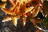  ( - Mol.Sys.7)  @11 [ ] Unspecified (default): All Rights Reserved  Unspecified Unspecified
