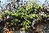  ( - OM0593)  @11 [ ] Unspecified (default): All Rights Reserved  Unspecified Unspecified