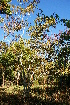  ( - M662)  @11 [ ] Unspecified (default): All Rights Reserved  Unspecified Unspecified