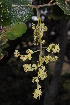  ( - OM1508)  @11 [ ] Unspecified (default): All Rights Reserved  Unspecified Unspecified