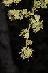  ( - OM1508)  @11 [ ] Unspecified (default): All Rights Reserved  Unspecified Unspecified