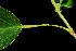  ( - OM0270)  @11 [ ] Unspecified (default): All Rights Reserved  Unspecified Unspecified