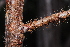  ( - OM0567)  @11 [ ] Unspecified (default): All Rights Reserved  Olivier Maurin Unspecified
