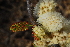  ( - OM1030)  @11 [ ] Unspecified (default): All Rights Reserved  Unspecified Unspecified