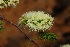  ( - OM1060)  @11 [ ] Unspecified (default): All Rights Reserved  Unspecified Unspecified