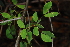  ( - OM1060)  @11 [ ] Unspecified (default): All Rights Reserved  Unspecified Unspecified