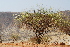  ( - OM1060)  @12 [ ] Unspecified (default): All Rights Reserved  Unspecified Unspecified