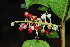  ( - OM1179)  @11 [ ] Unspecified (default): All Rights Reserved  Unspecified Unspecified