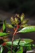  ( - OM1250)  @11 [ ] Unspecified (default): All Rights Reserved  Unspecified Unspecified