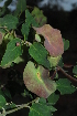  ( - OM1263)  @11 [ ] Unspecified (default): All Rights Reserved  Unspecified Unspecified