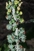  ( - OM1359)  @11 [ ] Unspecified (default): All Rights Reserved  Unspecified Unspecified