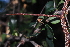  ( - OM1404)  @11 [ ] Unspecified (default): All Rights Reserved  Unspecified Unspecified