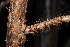  ( - OM1416)  @11 [ ] Unspecified (default): All Rights Reserved  Unspecified Unspecified