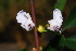  ( - OM1501)  @11 [ ] Unspecified (default): All Rights Reserved  Unspecified Unspecified