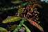  ( - OM1511)  @11 [ ] Unspecified (default): All Rights Reserved  Unspecified Unspecified