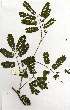  ( - OM1539)  @13 [ ] Copyright  - Unspecified