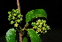  ( - OM1569)  @11 [ ] Unspecified (default): All Rights Reserved  Unspecified Unspecified
