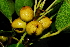  ( - OM1576)  @11 [ ] Unspecified (default): All Rights Reserved  Unspecified Unspecified