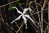  ( - OM1615)  @11 [ ] Unspecified (default): All Rights Reserved  Unspecified Unspecified