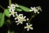  ( - OM1637)  @11 [ ] Unspecified (default): All Rights Reserved  Unspecified Unspecified