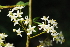  ( - OM1637)  @11 [ ] Unspecified (default): All Rights Reserved  Unspecified Unspecified