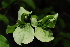  ( - OM1646)  @11 [ ] Unspecified (default): All Rights Reserved  Unspecified Unspecified