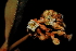  ( - OM1660)  @11 [ ] Unspecified (default): All Rights Reserved  Unspecified Unspecified