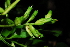  ( - OM1675)  @11 [ ] Unspecified (default): All Rights Reserved  Unspecified Unspecified