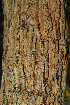  ( - OM1808)  @11 [ ] Unspecified (default): All Rights Reserved  Unspecified Unspecified