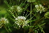  ( - OM1811)  @11 [ ] Unspecified (default): All Rights Reserved  Olivier Maurin Unspecified