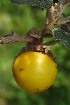  ( - OM1904)  @11 [ ] Unspecified (default): All Rights Reserved  Unspecified Unspecified