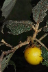  ( - OM1904)  @11 [ ] Unspecified (default): All Rights Reserved  Unspecified Unspecified