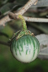  ( - OM1904)  @11 [ ] Unspecified (default): All Rights Reserved  Unspecified Unspecified