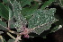  ( - OM1904)  @11 [ ] Unspecified (default): All Rights Reserved  Unspecified Unspecified