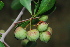  ( - OM1913)  @11 [ ] Unspecified (default): All Rights Reserved  Unspecified Unspecified