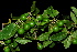  ( - OM1915)  @11 [ ] Unspecified (default): All Rights Reserved  Unspecified Unspecified