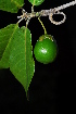  ( - OM1915)  @11 [ ] Unspecified (default): All Rights Reserved  Unspecified Unspecified